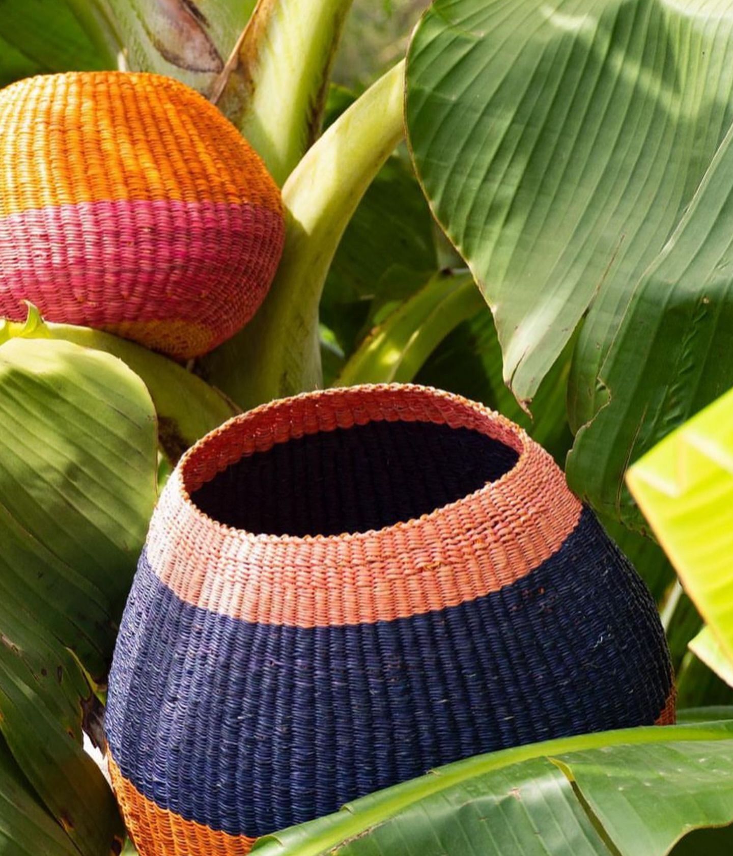 Colourful handwoven baskets nestled among green leaves